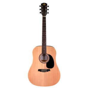 Acoustic Guitars